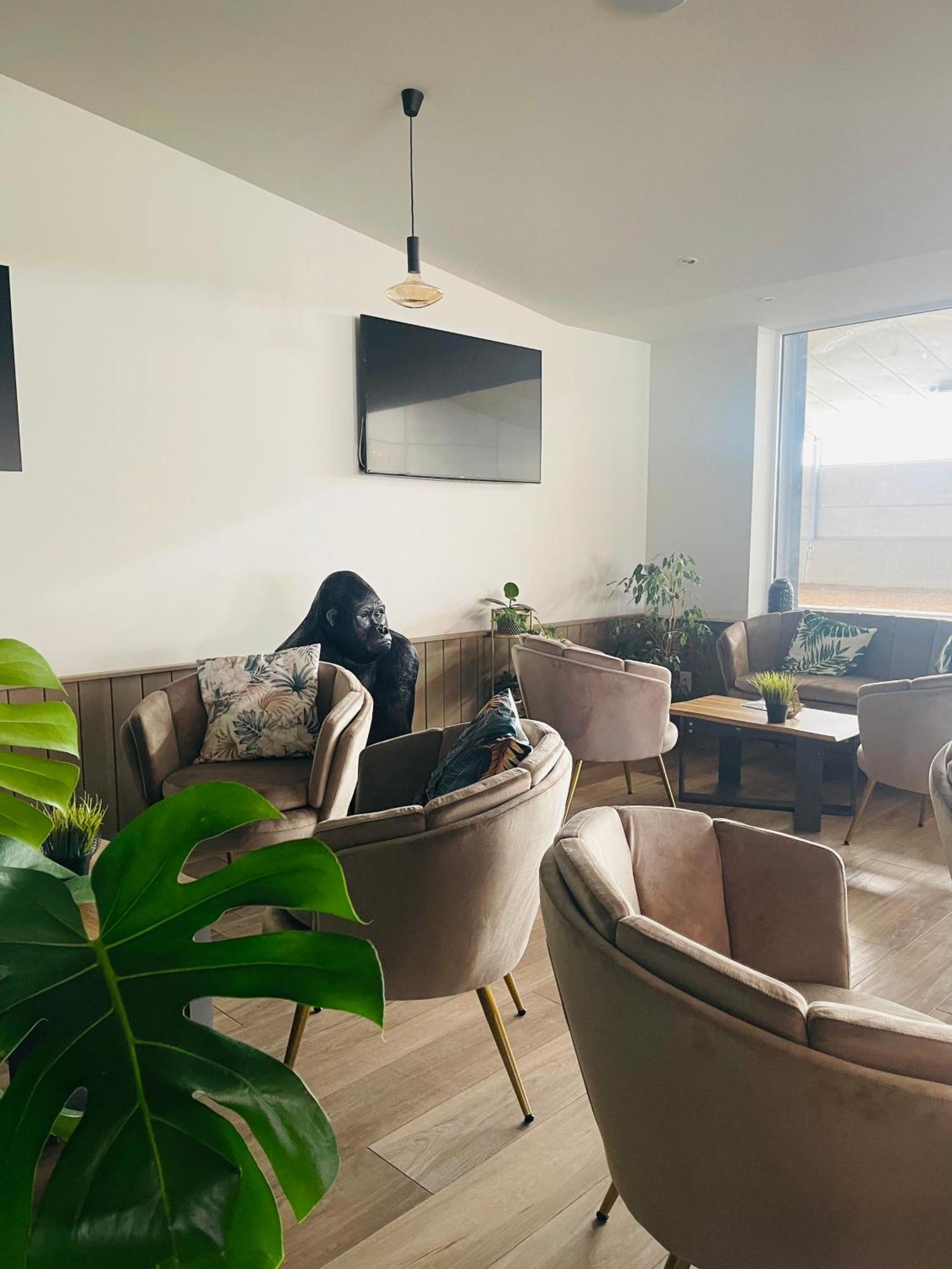 Equus B&B Bredene Εξωτερικό φωτογραφία