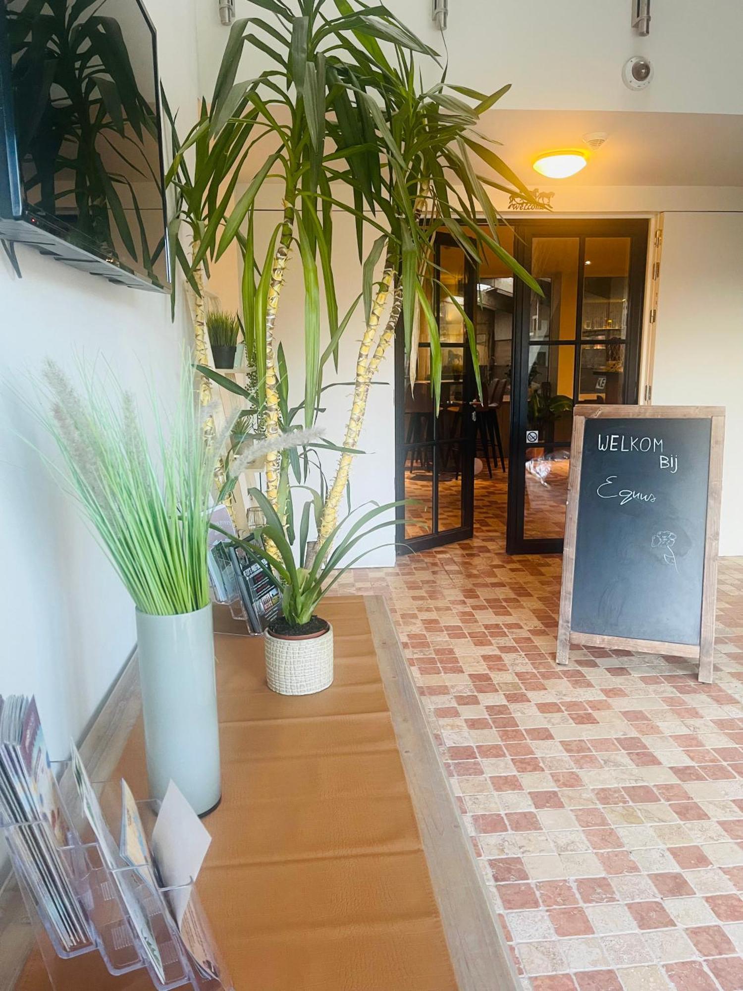 Equus B&B Bredene Εξωτερικό φωτογραφία